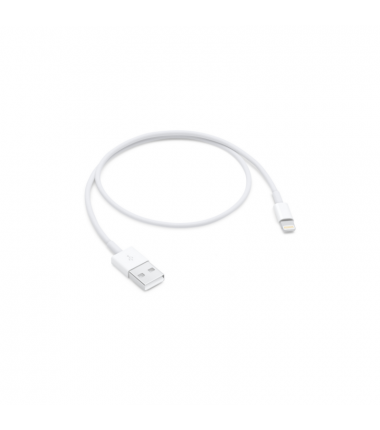 Câble Apple Lightning vers USB 0,5m
